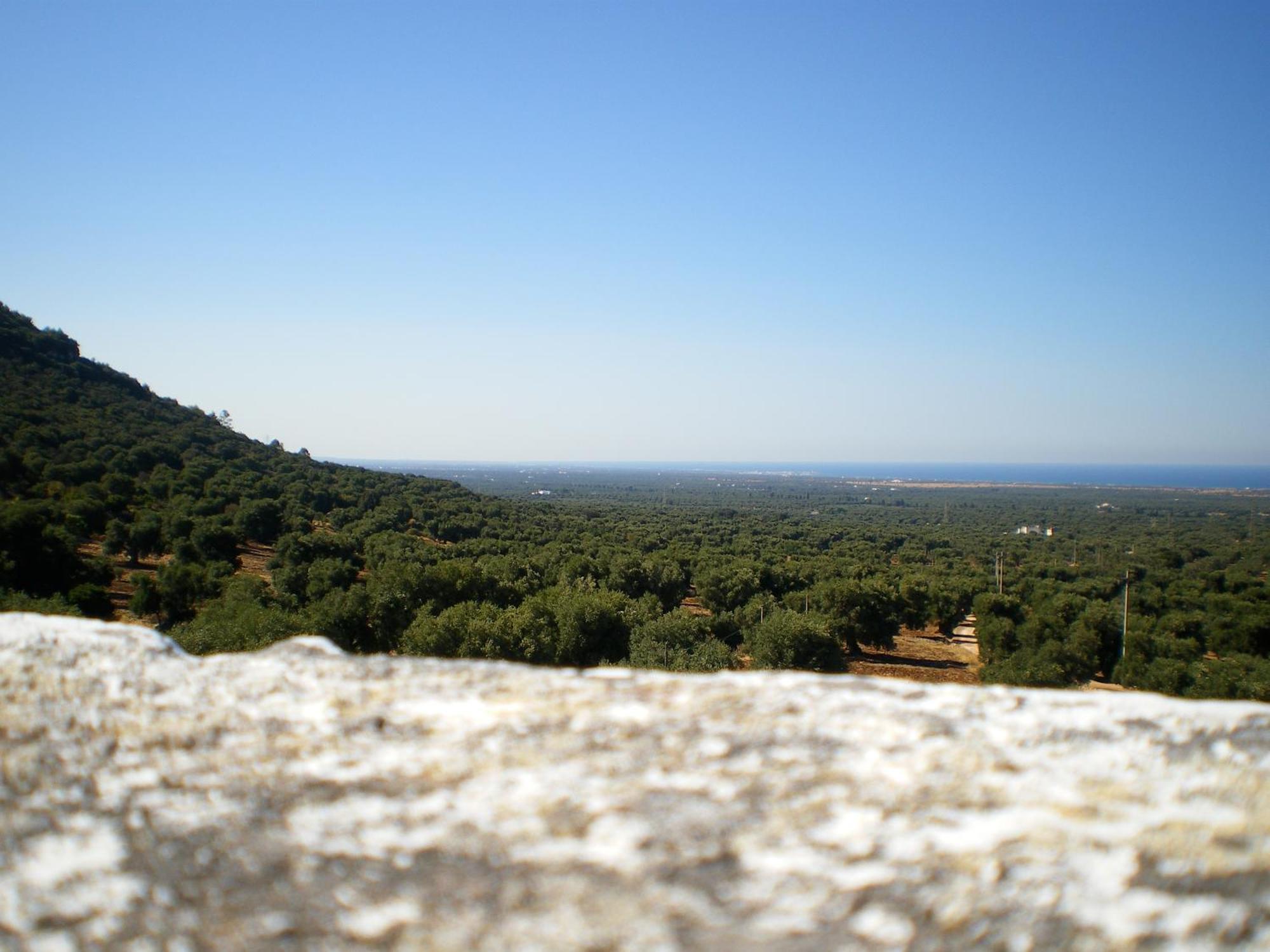 Masseria Morrone 오스투니 외부 사진