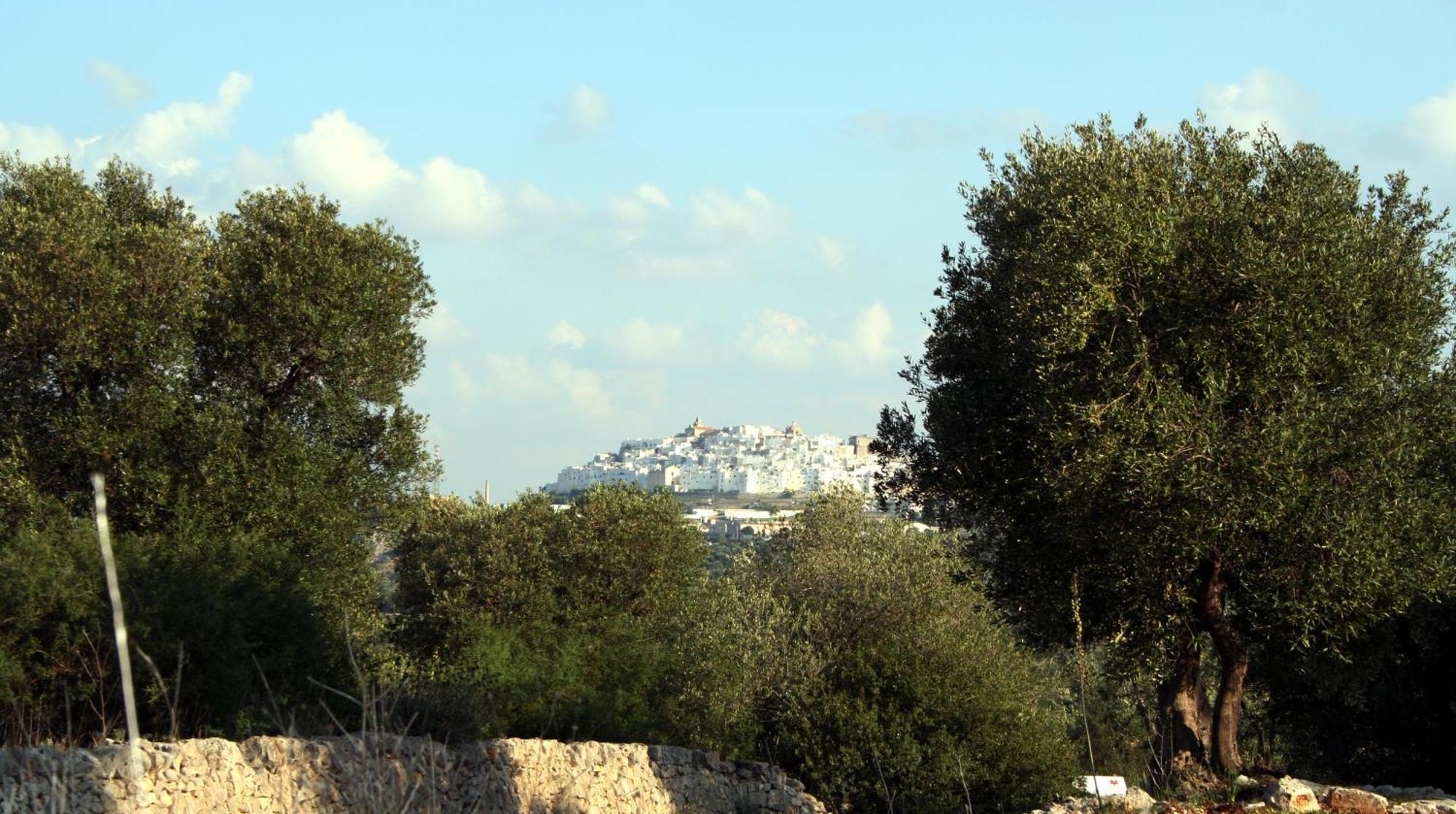 Masseria Morrone 오스투니 외부 사진